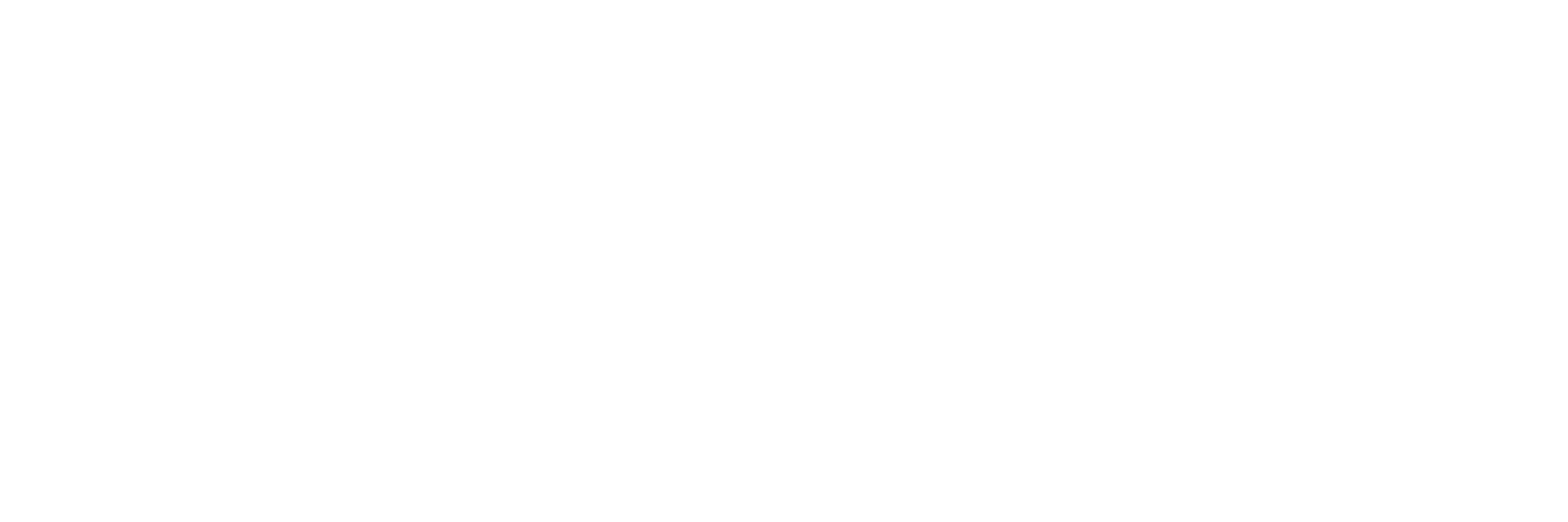 ARSS Logo Blanco